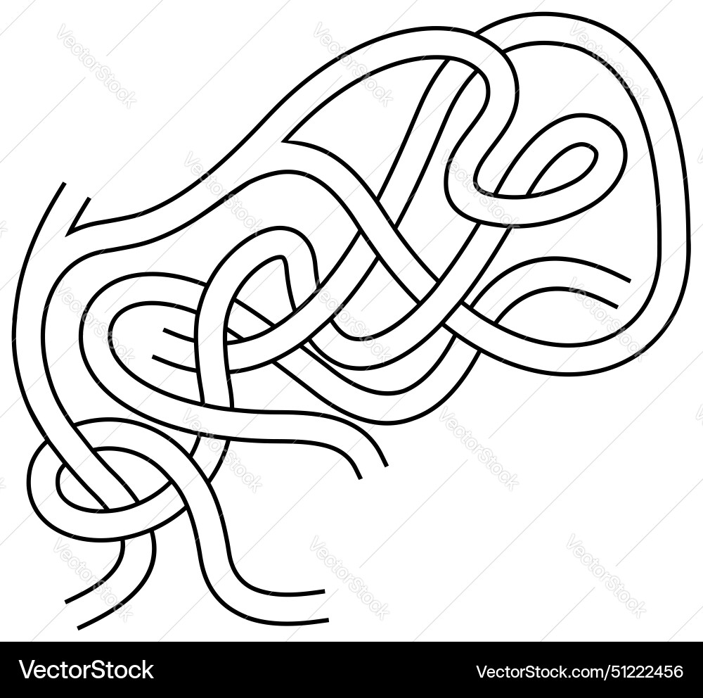 Maze labyrinth with entry and exit Vector Image