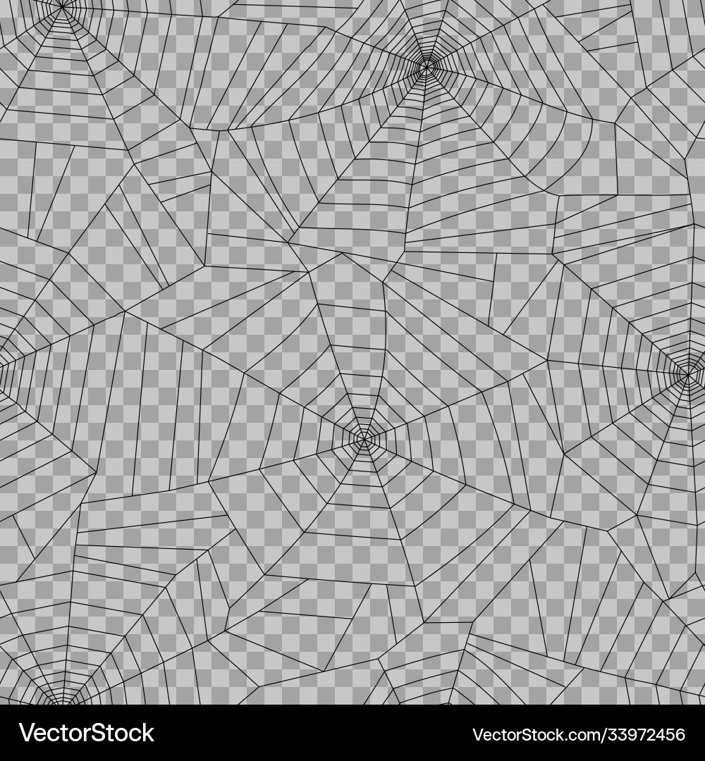 Spooky Spiderweb Pattern vector image