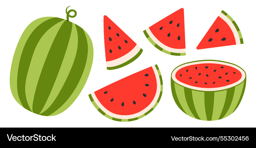 Wassermelone Set reife Fruchtstücke halbiert Wassermelone Set reife Fruchtstücke halbiert vektorbild