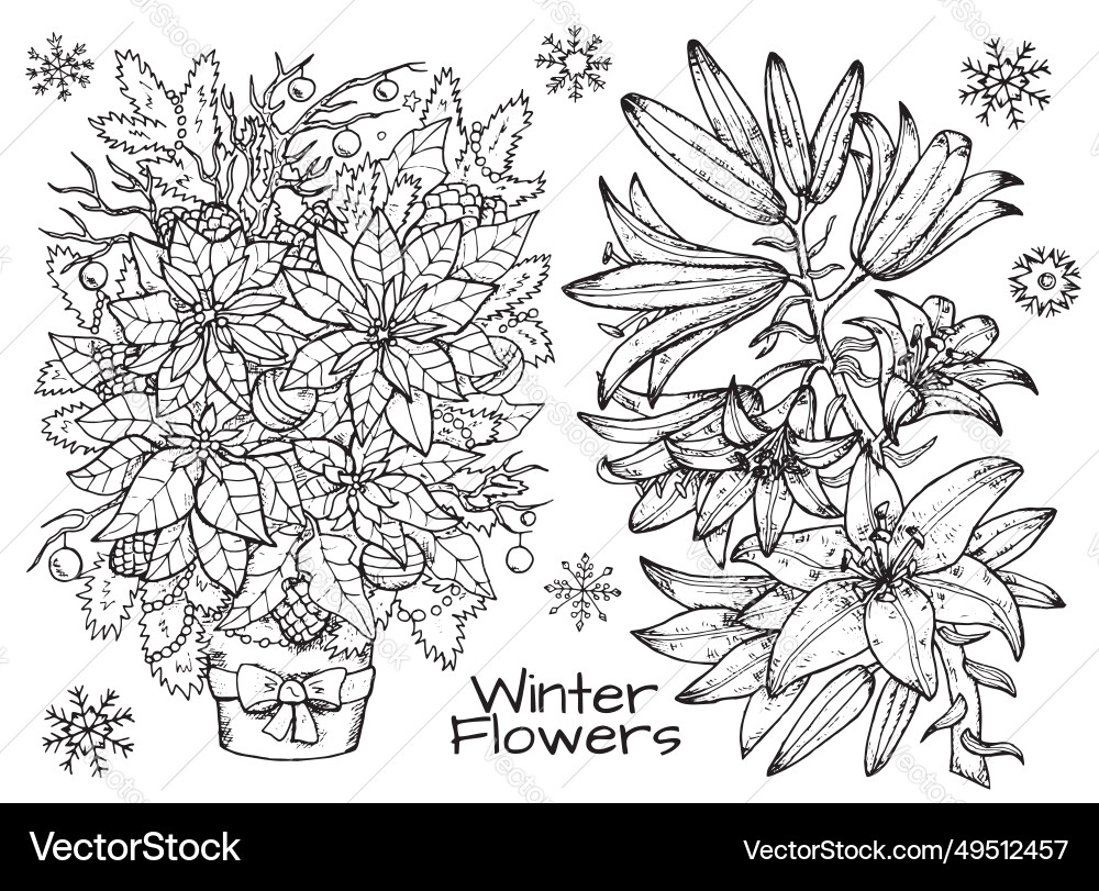 Black and white design set with graphics Black and white design set with graphics vector image