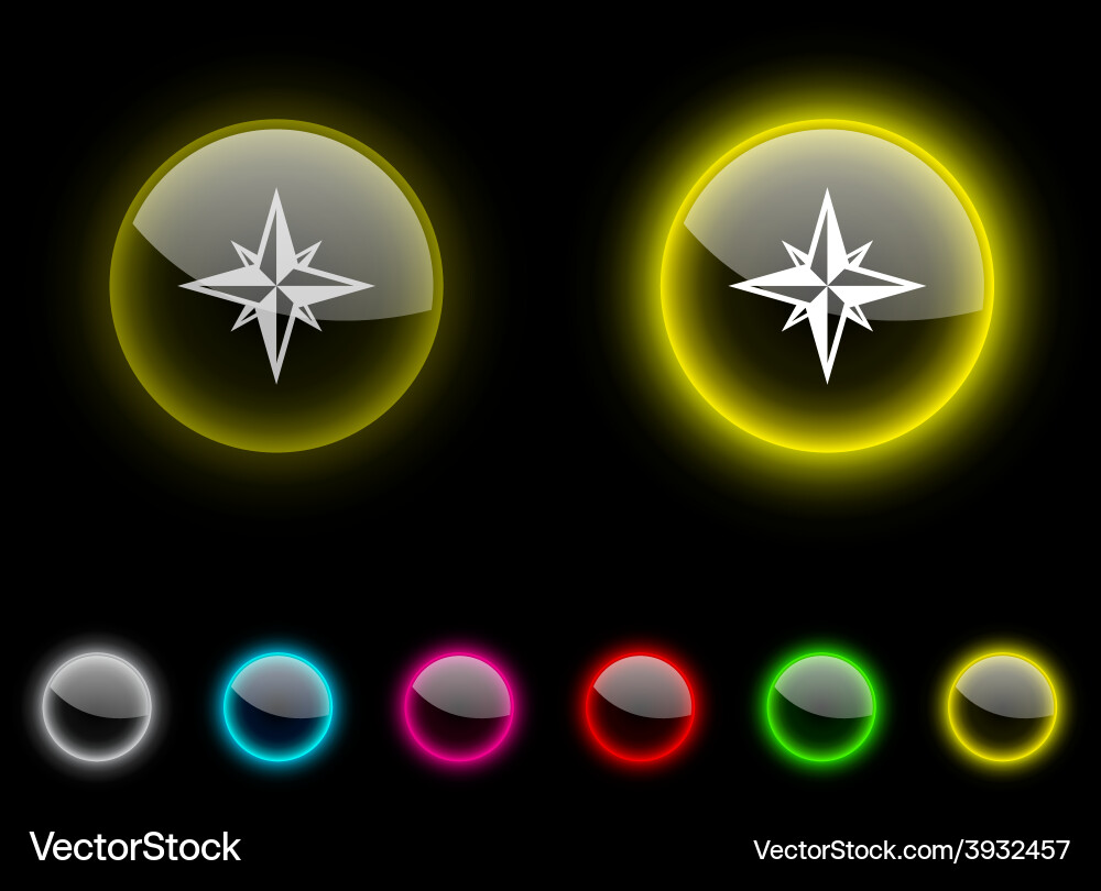 Compass button Vector Image