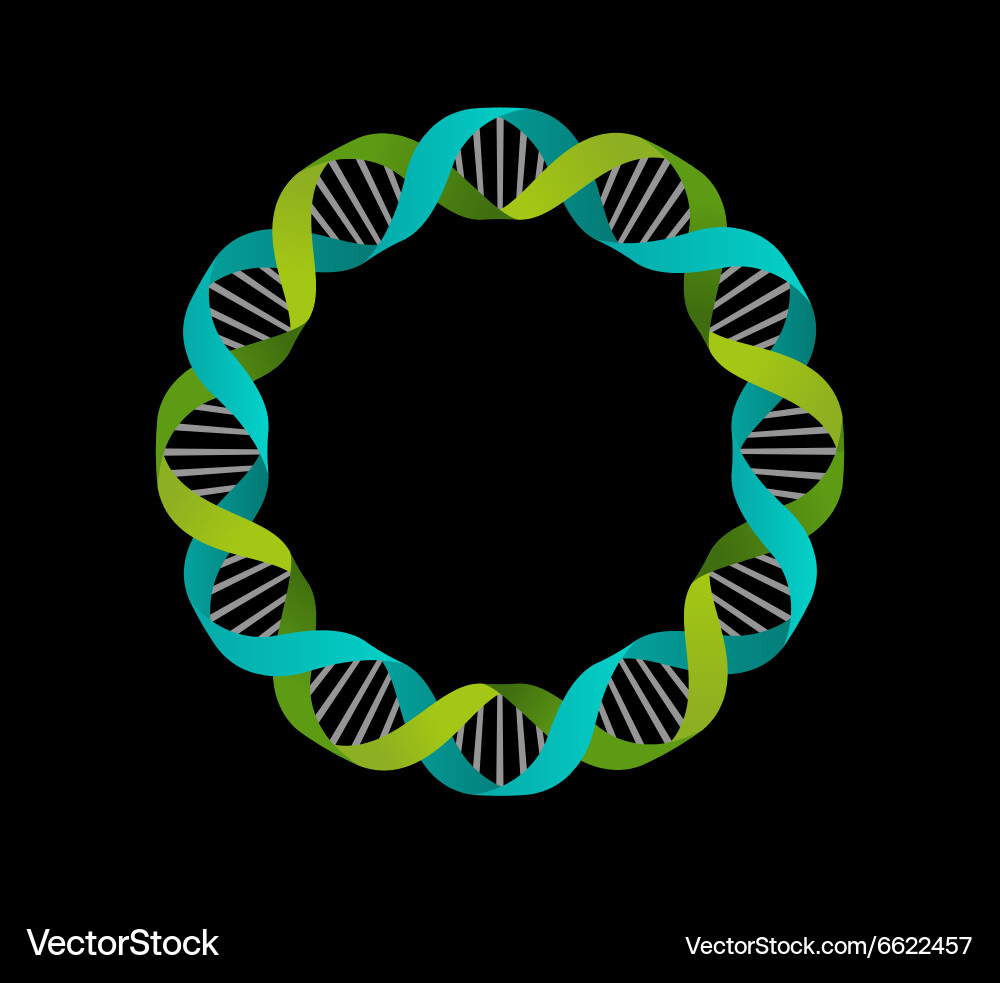 Кольцо в виде днк. Значок ДНК. ДНК по кругу. ДНК вектор кругом. Спираль ДНК вид сверху