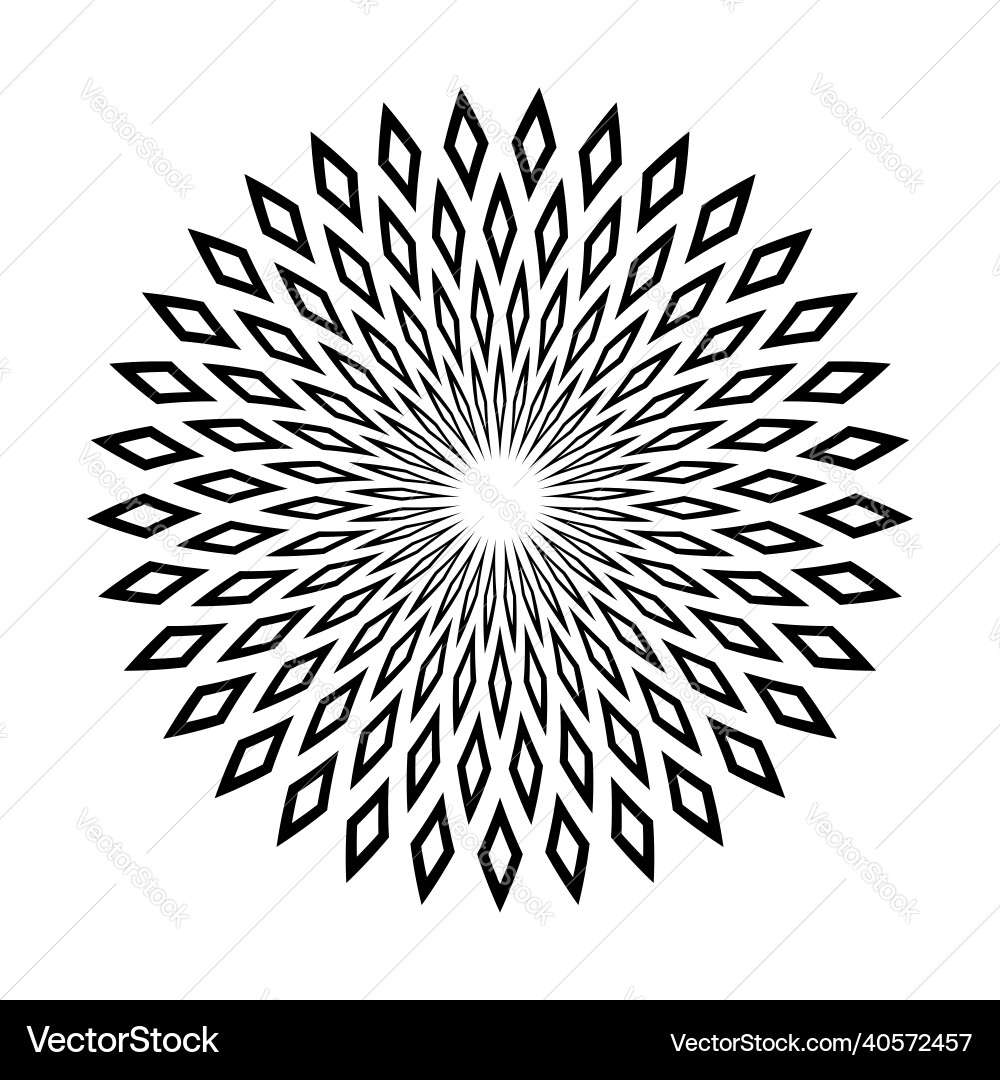 Geometric Circle Pattern vector image