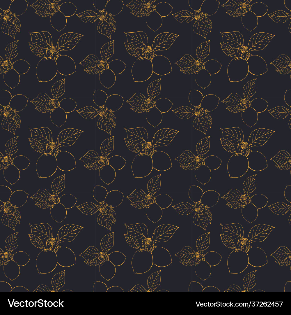 Lemons pattern on a dark background contour Vector Image