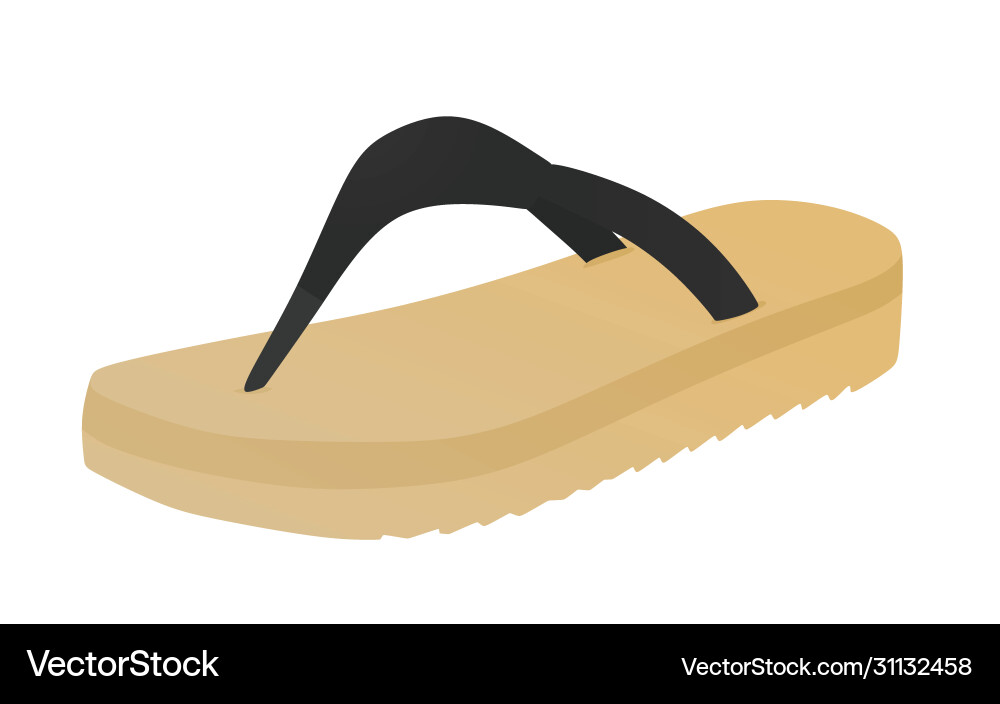 Brown flip flops Vector Image