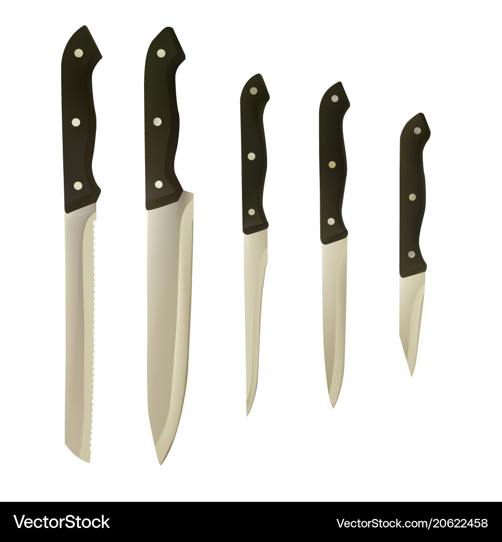 Knife set with black handle Vector Image