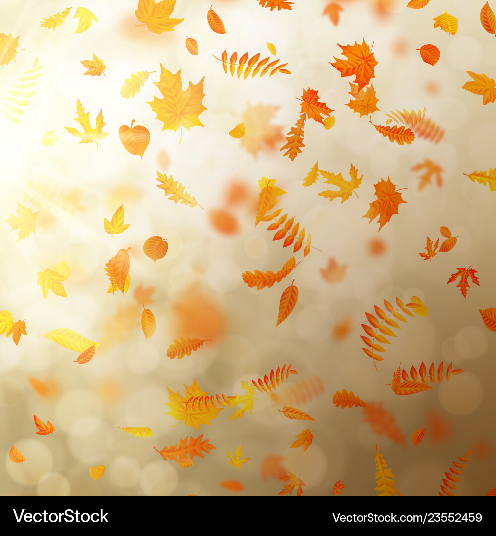 Gold autumn bokeh background with maple Gold autumn bokeh background with maple vector image