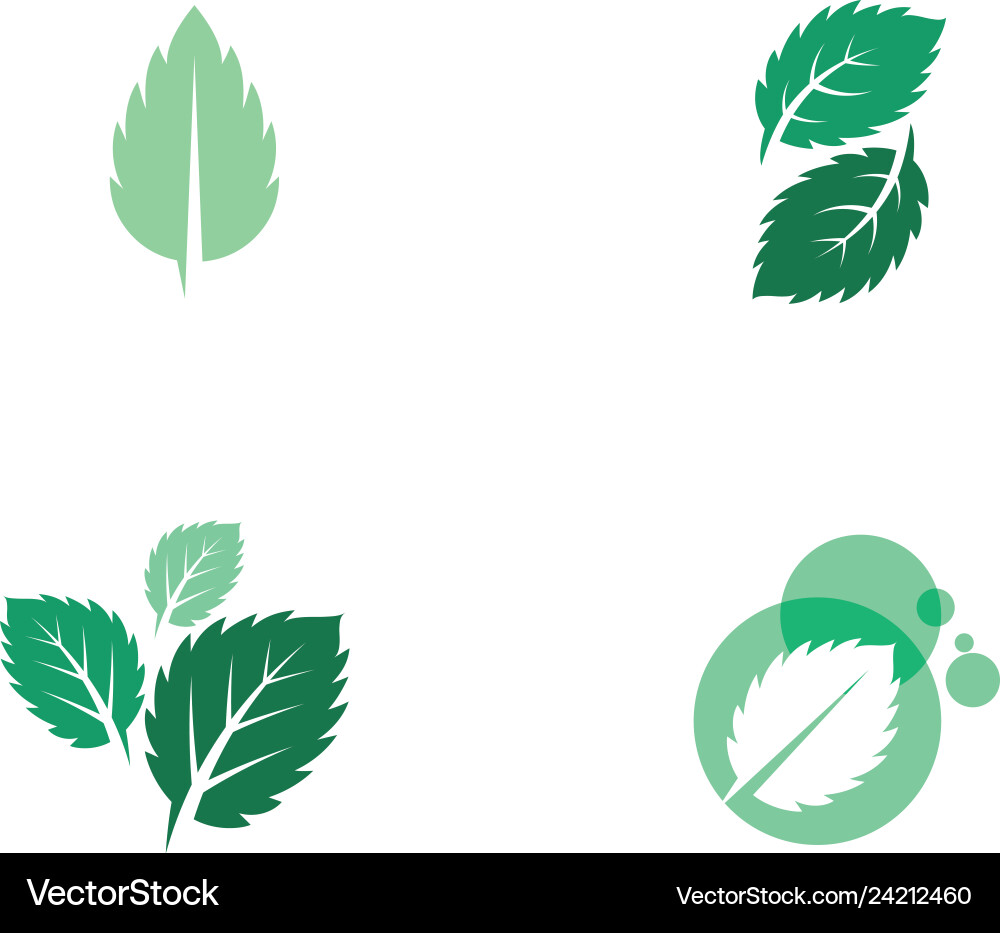 Mint leaves flat icon Mint leaves flat icon vector image