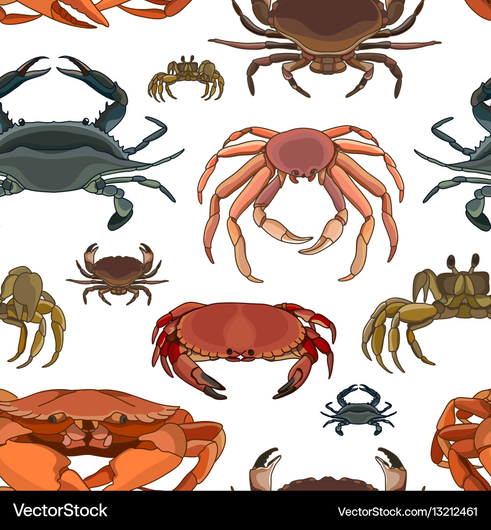 Crabs set pattern vector image