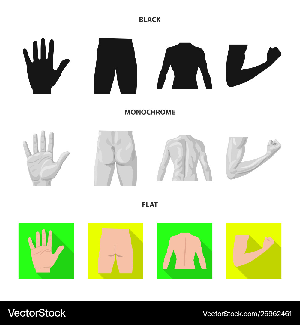 Isolated object human and part icon set Isolated object human and part icon set vector image