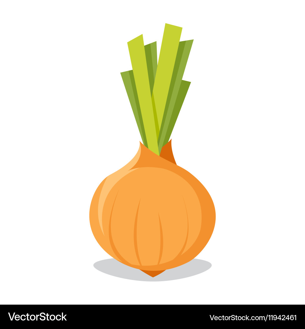 Onion icon in flat style isolated object Vector Image