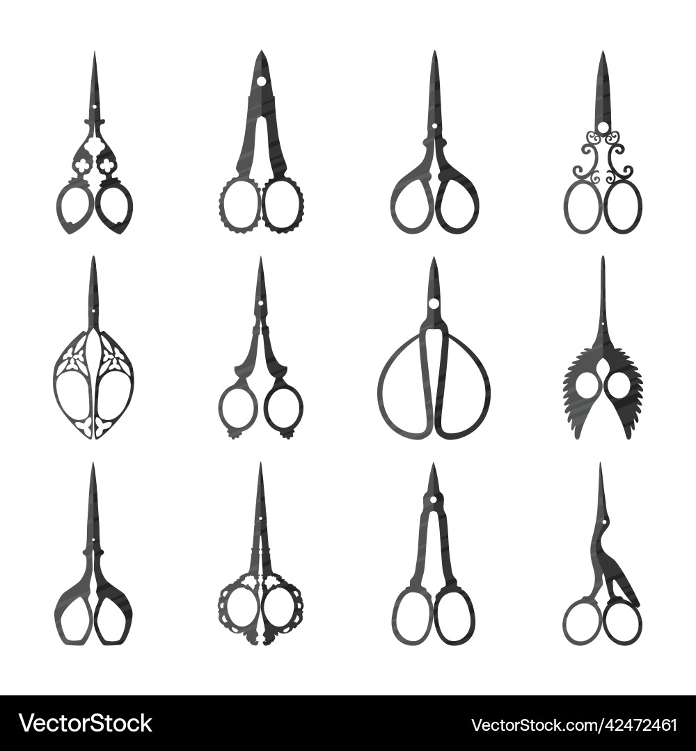 Seth scissors Seth scissors vector image