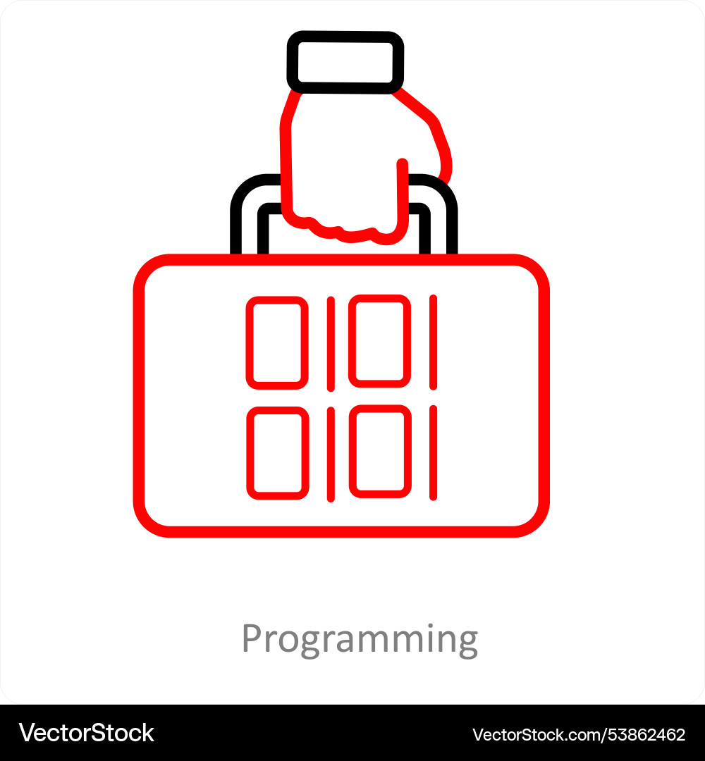 Programming and coding icon concept Vector Image