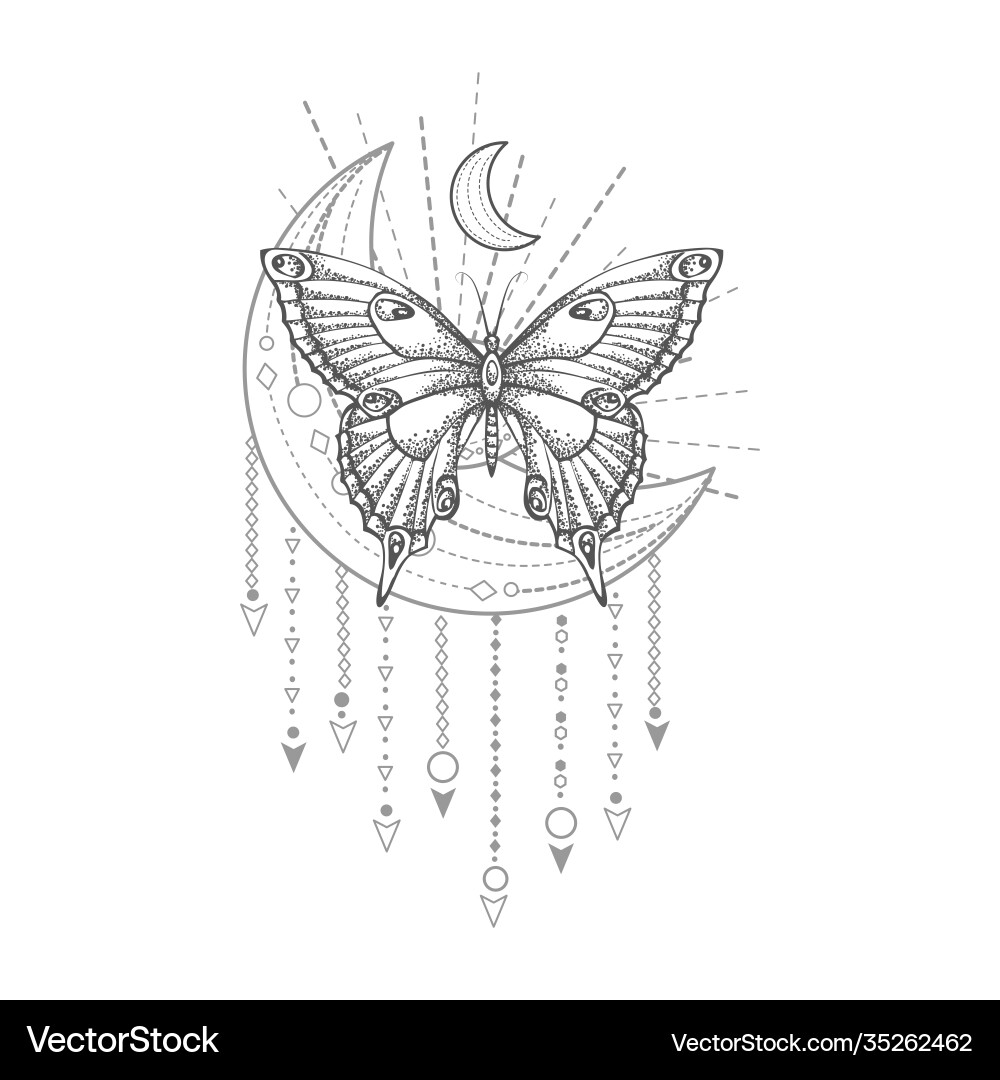 With hand drawn butterfly and sacred geometric With hand drawn butterfly and sacred geometric vector image