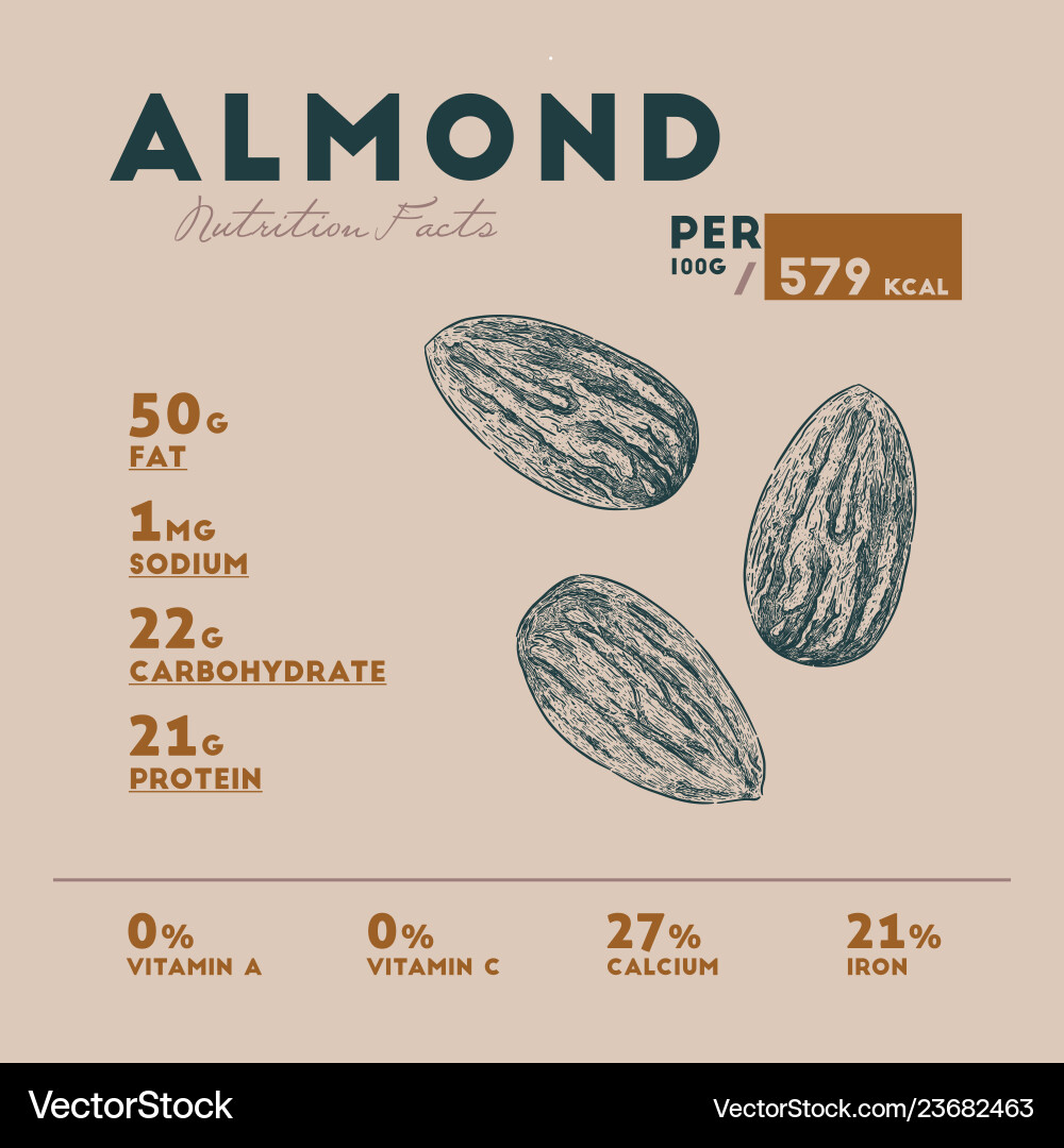 Nutrition facts of almond hand draw sketch Nutrition facts of almond hand draw sketch vector image
