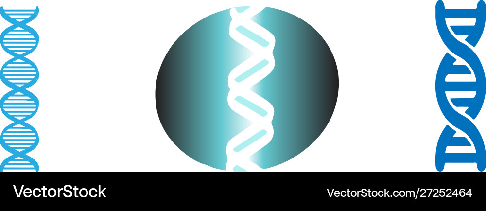 Dna icon on white background Dna icon on white background vector image