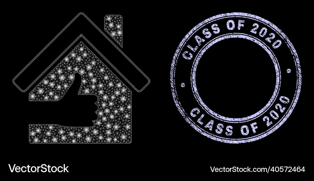 Textured class of 2020 stamp and shiny network Vector Image