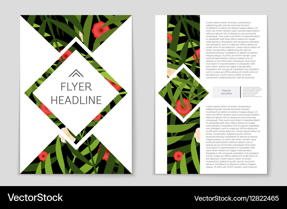 Abstract layout background set for art vector image