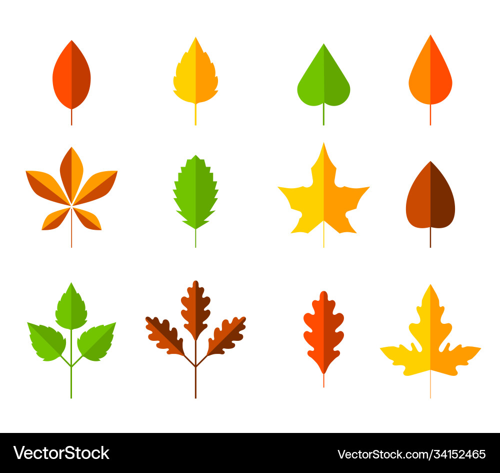 Colorful autumn leaves set cartoon leaf in flat Colorful autumn leaves set cartoon leaf in flat vector image