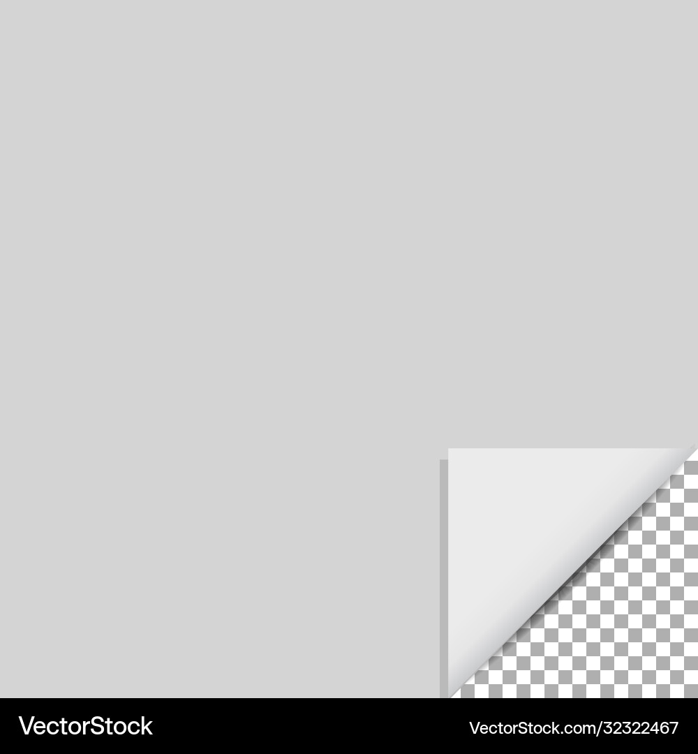 Page curl with shadow on a blank sheet paper Page curl with shadow on a blank sheet paper vector image