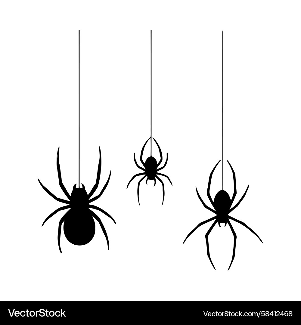 Black Spiders on Strings Vector Image