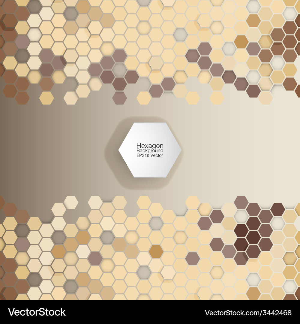 Geometric background abstract hexagonal pattern Vector Image