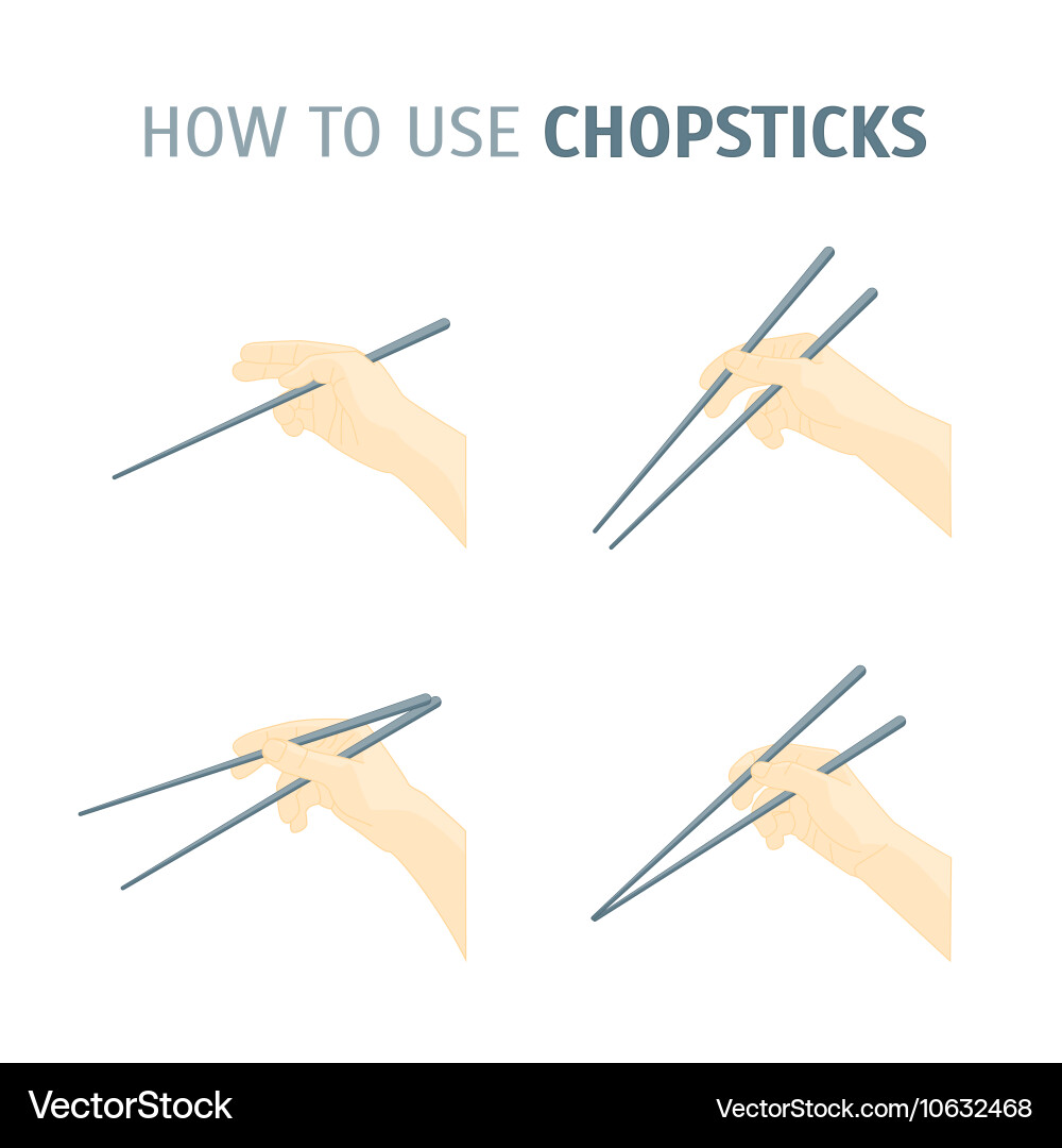 How to use chopsticks direction vector image