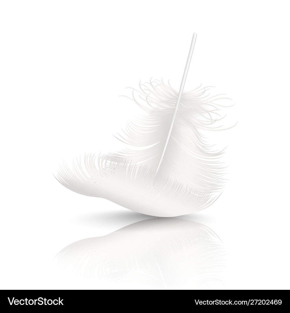 3d realistisch fallend weiß flauschig verwirbelt 3d realistisch fallend weiß flauschig verwirbelt vektorbild