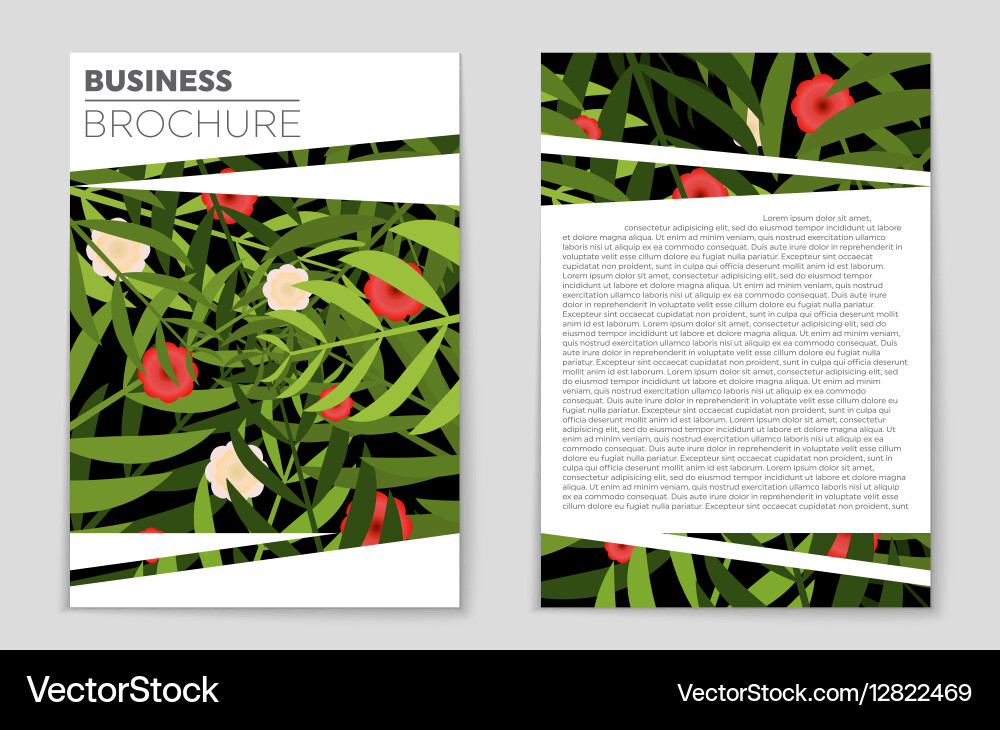 Abstract layout background set for art Vector Image