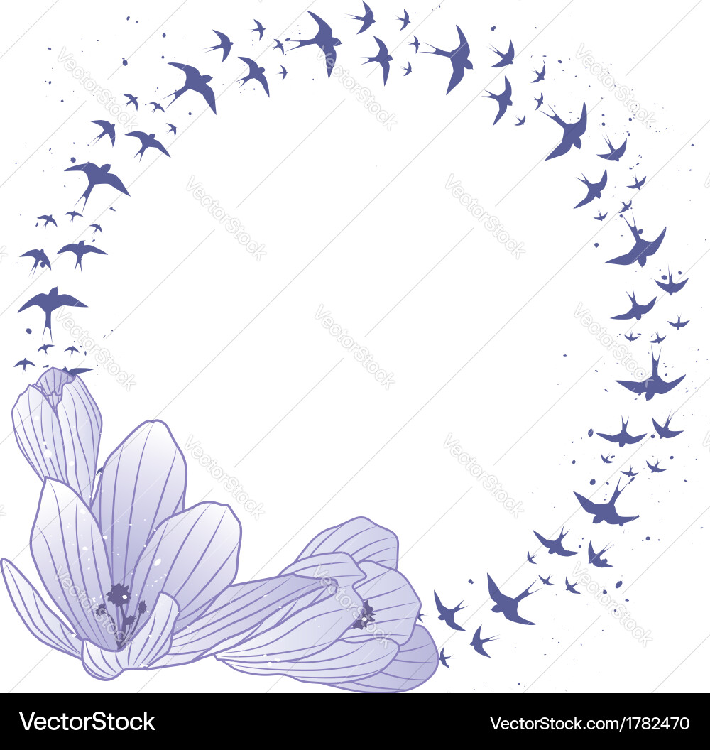 Crocus and swallow frame Vector Image