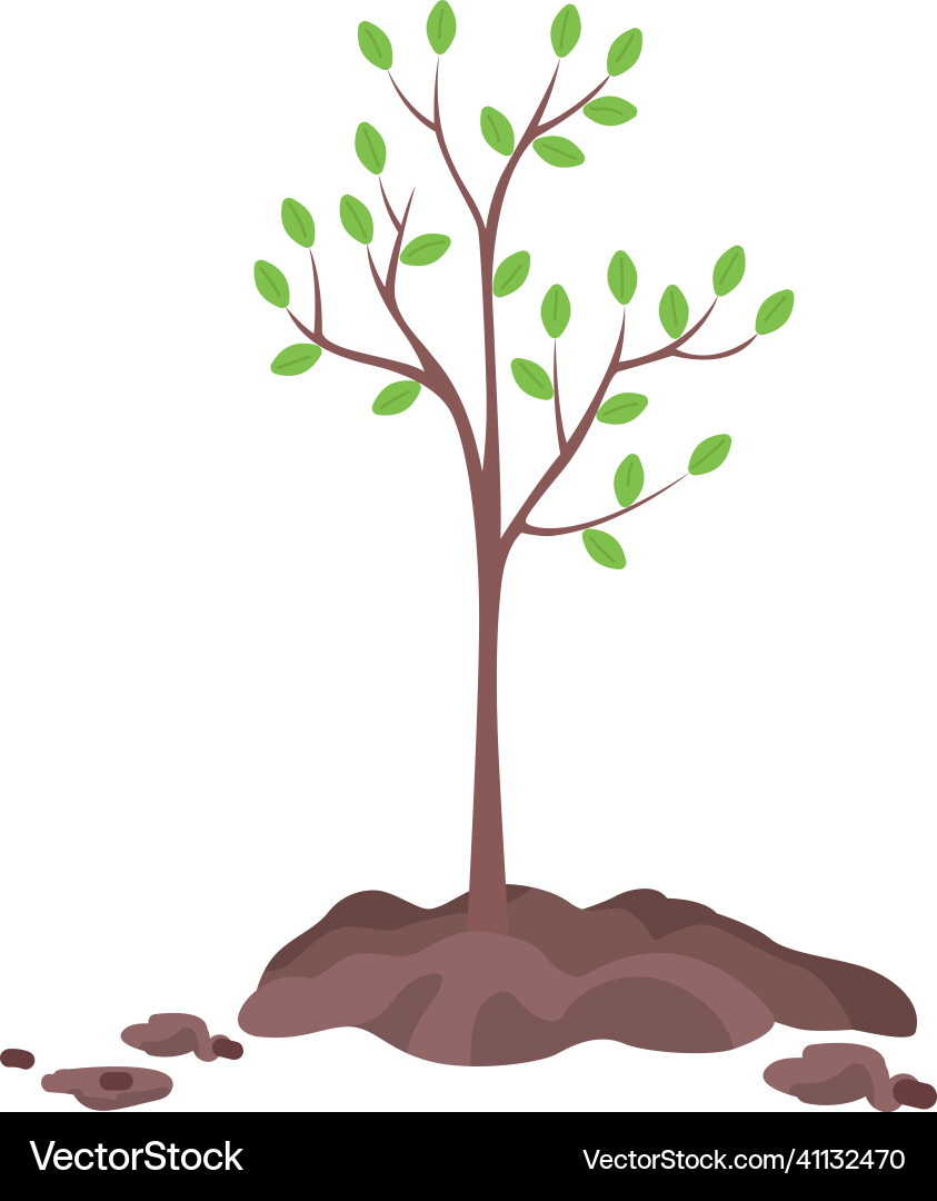 Planting tree in spring semi flat color object Vector Image