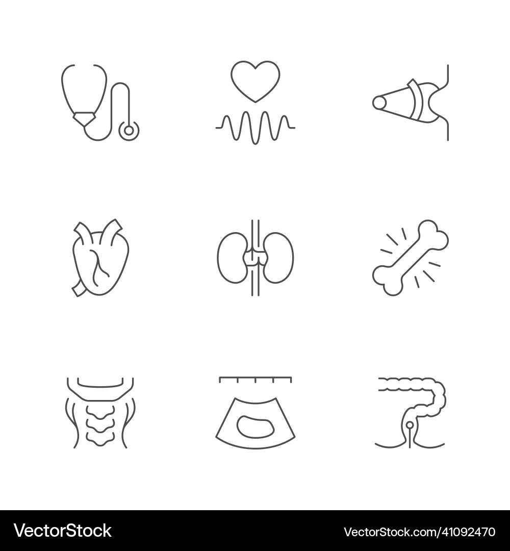 Set line icons of checkup Set line icons of checkup vector image