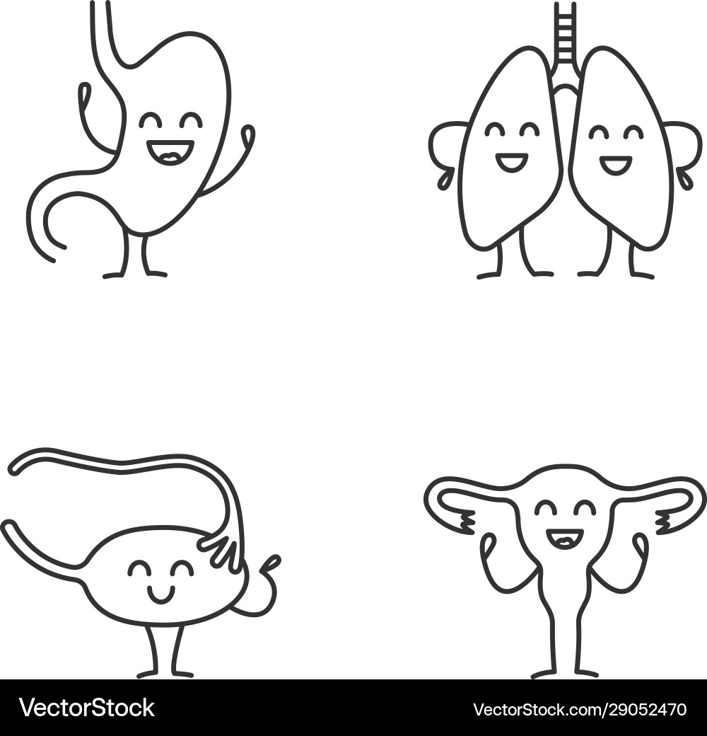 Smiling Human Organ Characters vector image