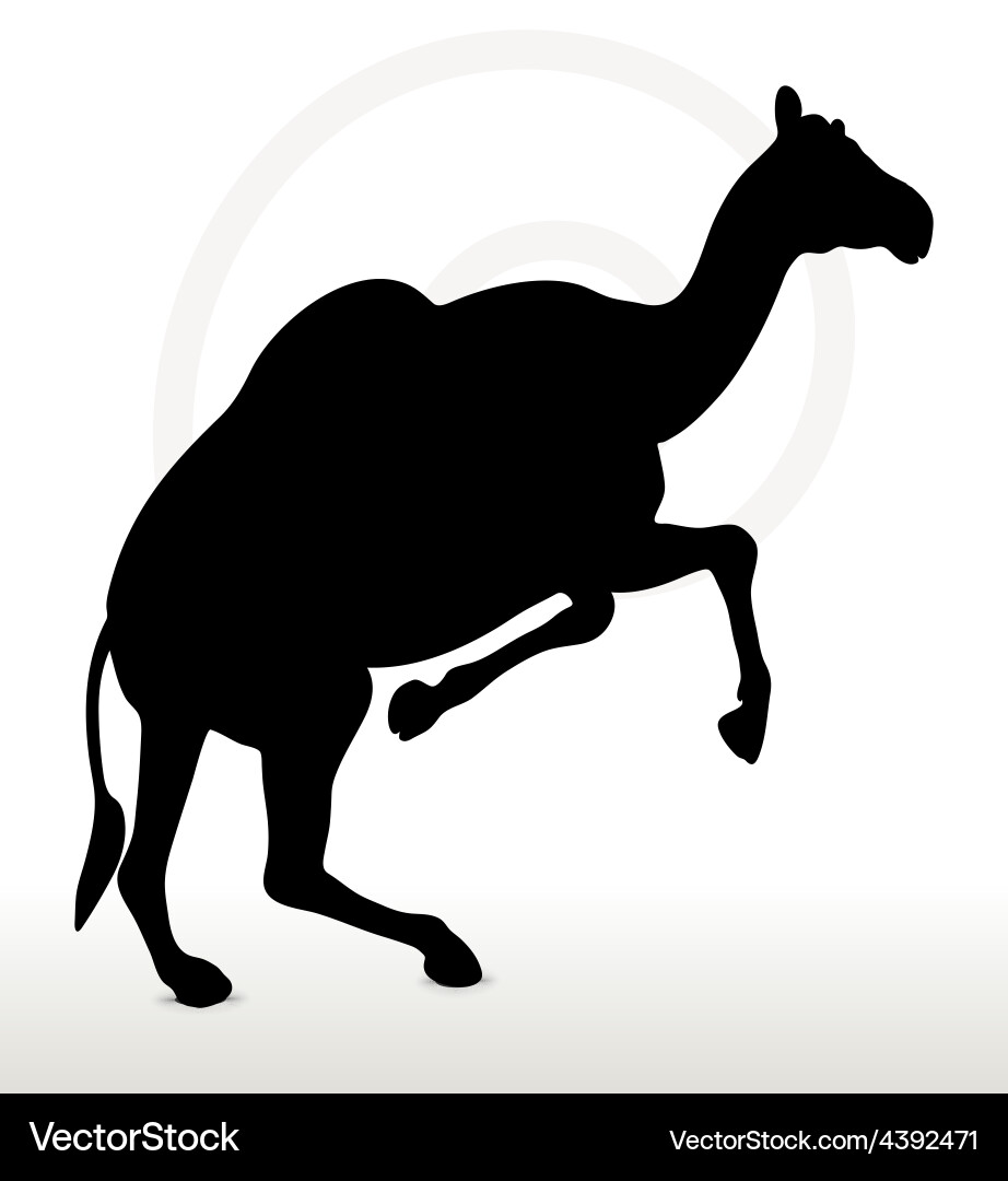 Camel in running pose vector image
