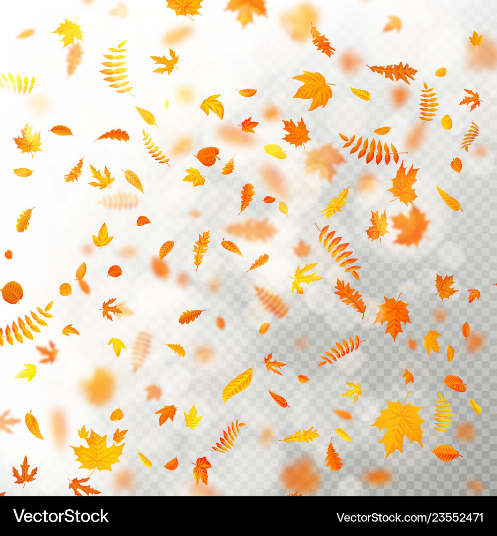 Effect of autumn falling leaves layer with shallow Effect of autumn falling leaves layer with shallow vector image