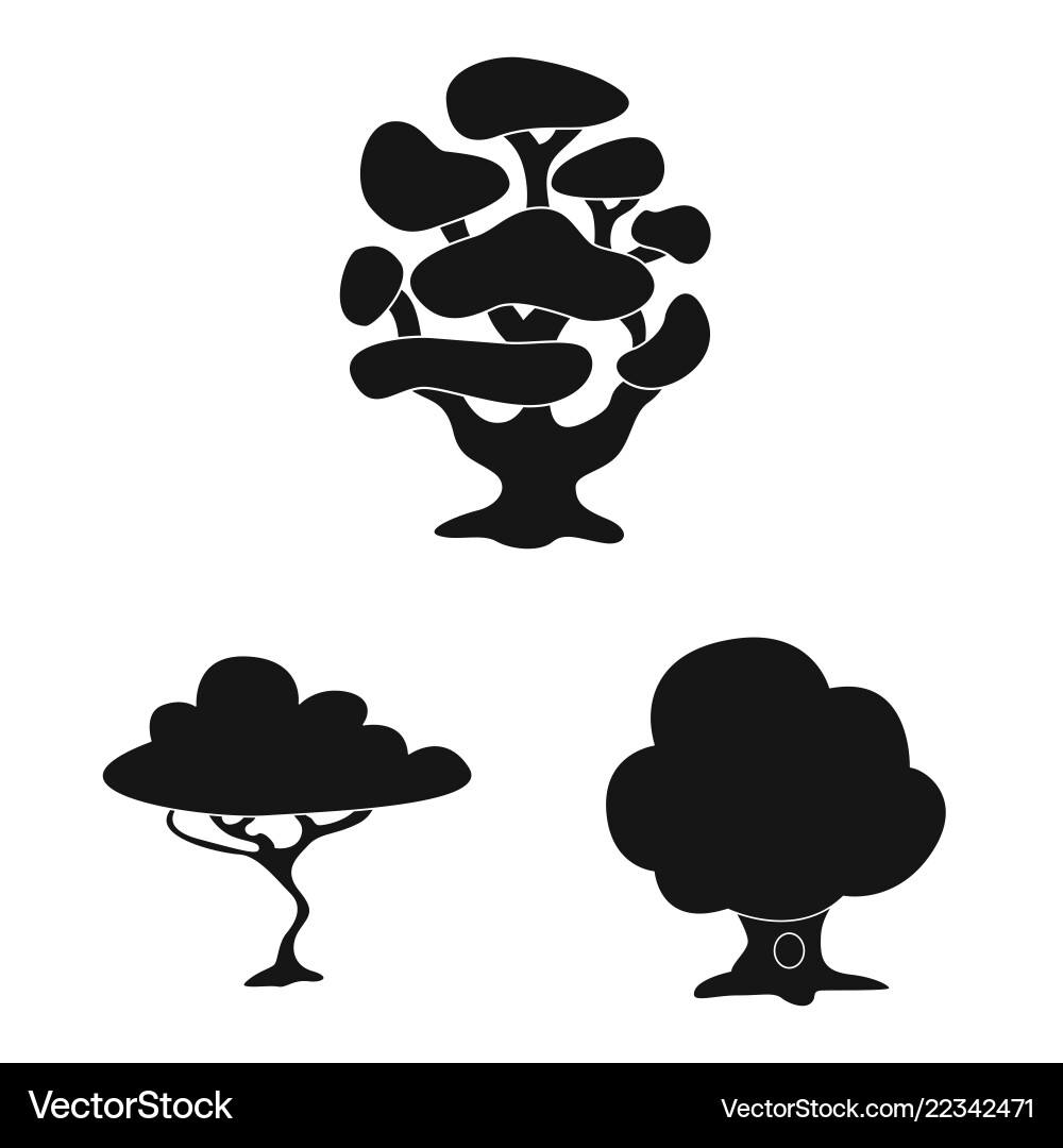Isolated object of tree and nature symbol set Vector Image