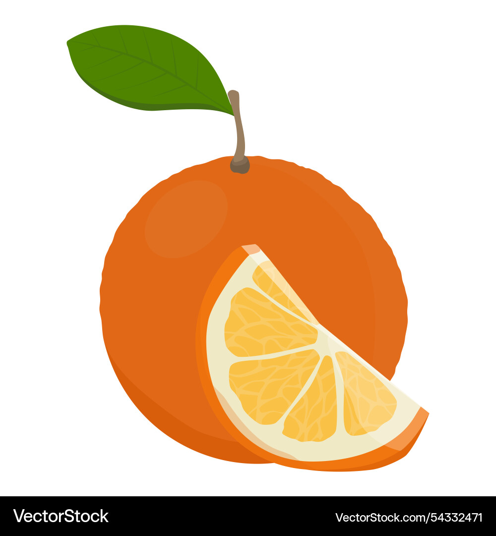Orange fruit with leaf and slice Royalty Free Vector Image