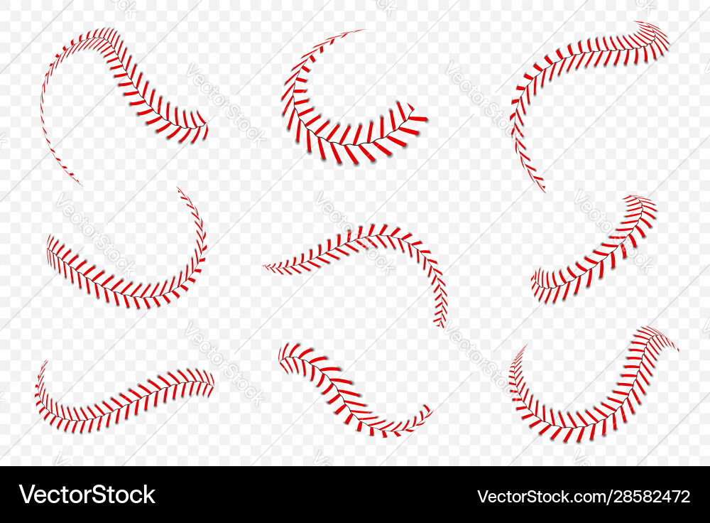 Baseball Ball Stitches - Close-Up Detail vector image