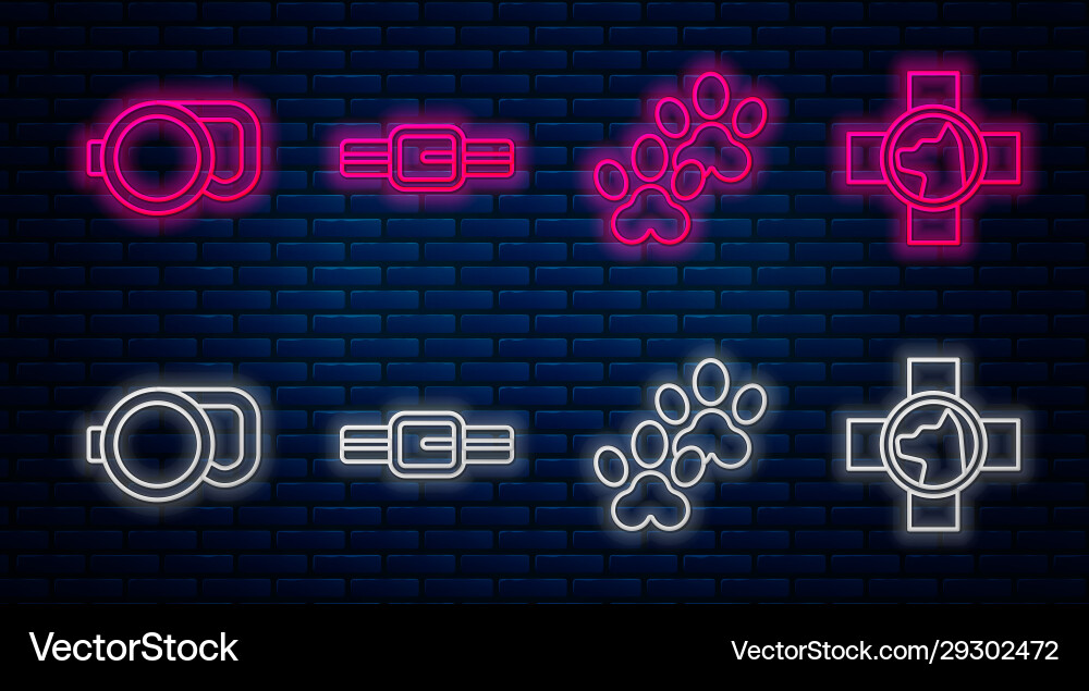 Set line collar with name tag paw print Vector Image