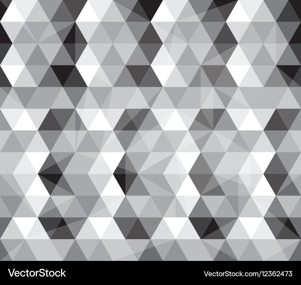 Black and White Geometric Pattern vector image