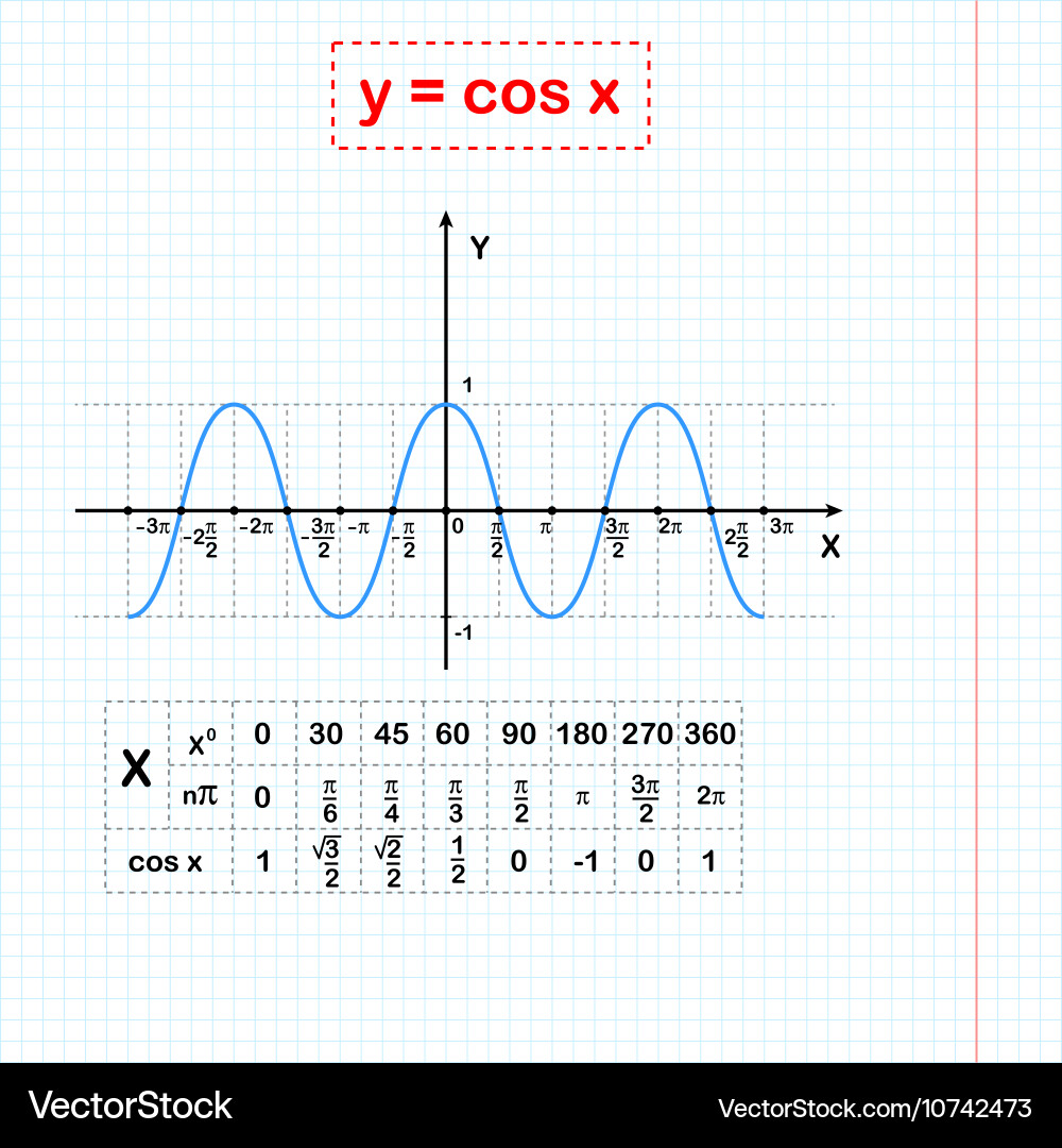 Cos function on sheet of paper vector image