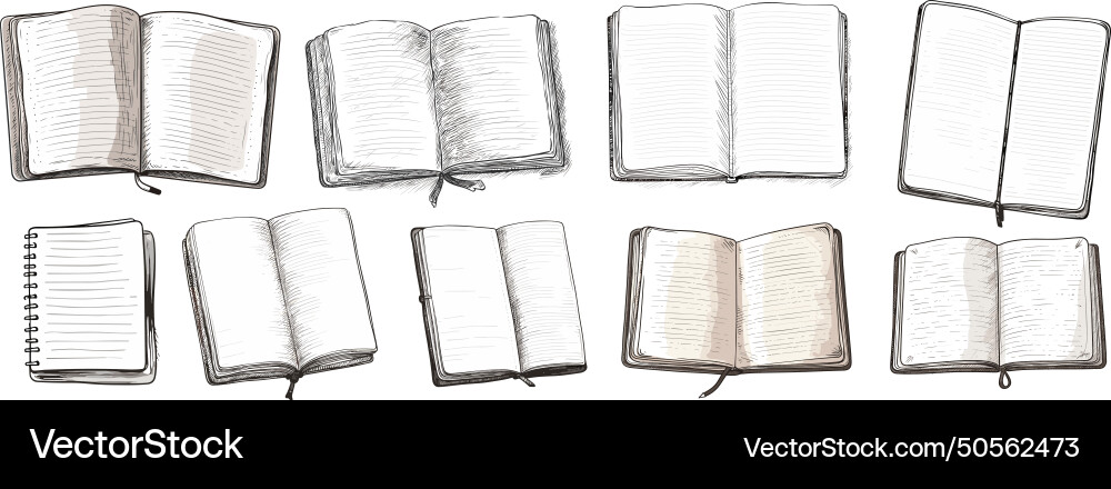 Opened notebooks books with empty sheets vector image