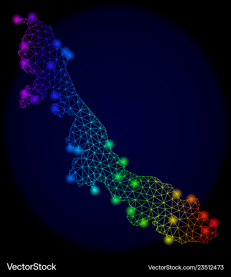 Polygonal network color mesh map of veracruz state Vector Image