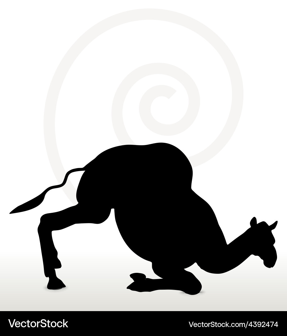 Camel in unloading pose vector image