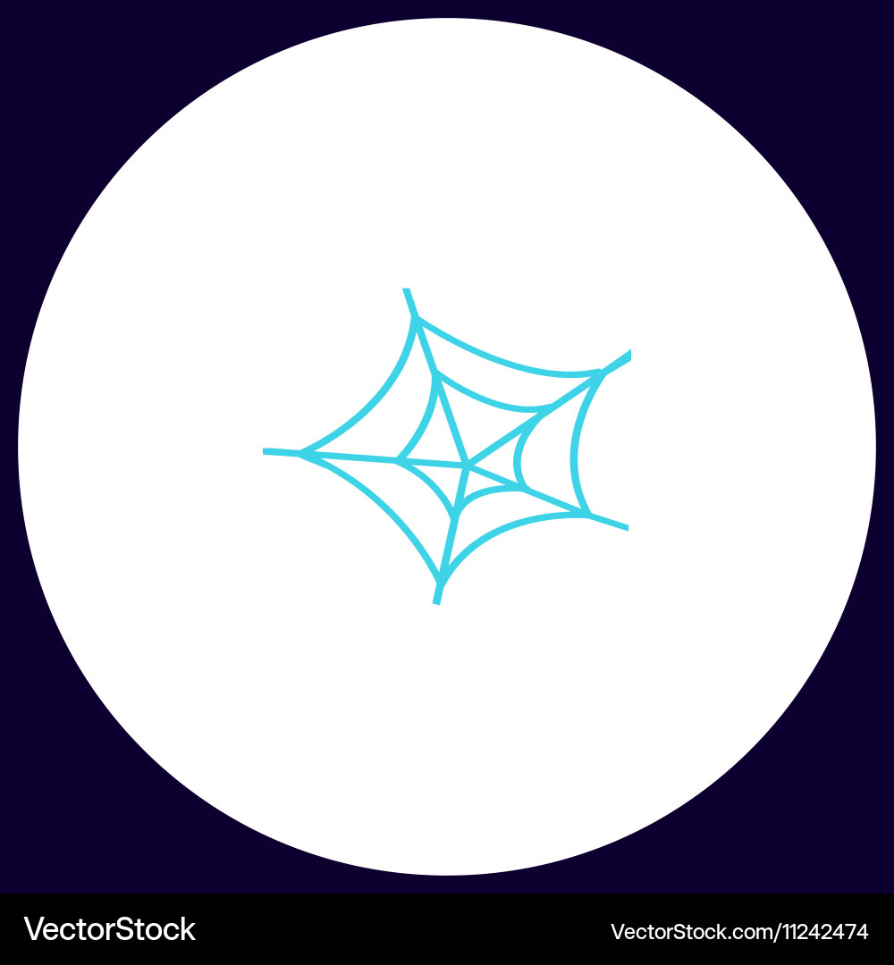 Spiderweb computer symbol vector image