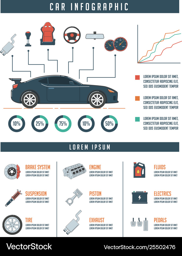 Car infographic template with parts automotive Car infographic template with parts automotive vector image