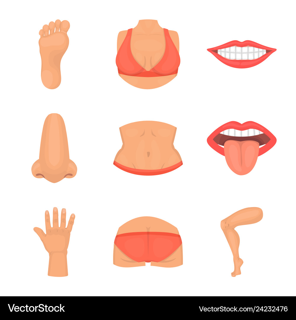 Isolated object of body and part sign set Isolated object of body and part sign set vector image