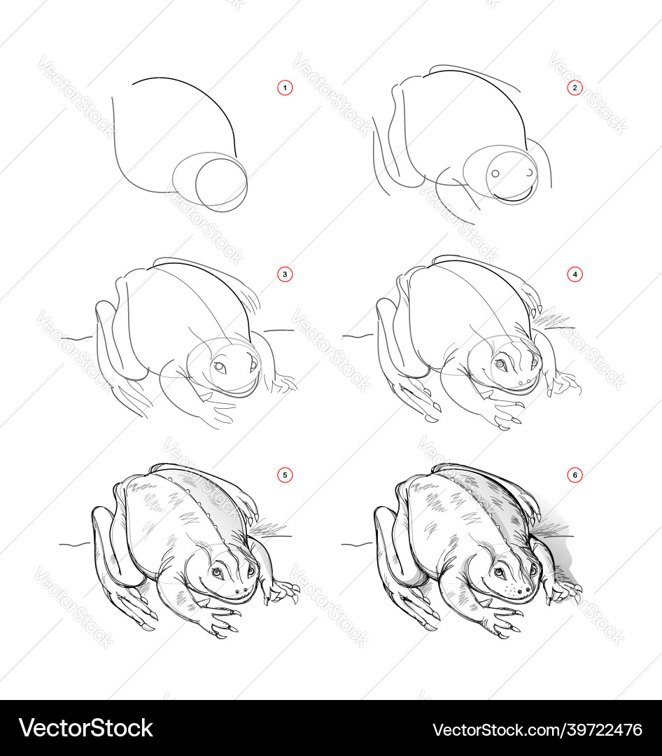 Page shows how to learn draw sketch of toad Page shows how to learn draw sketch of toad vector image