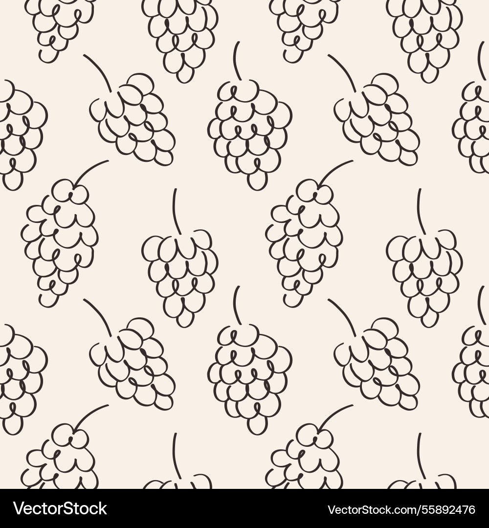 Seamless pattern with vineyard and grape vine vector image