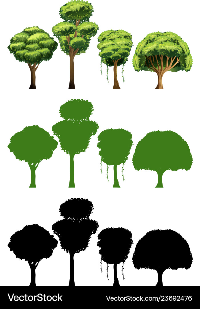 Set of different tree design vector image